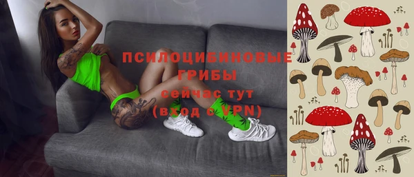бошки Горняк