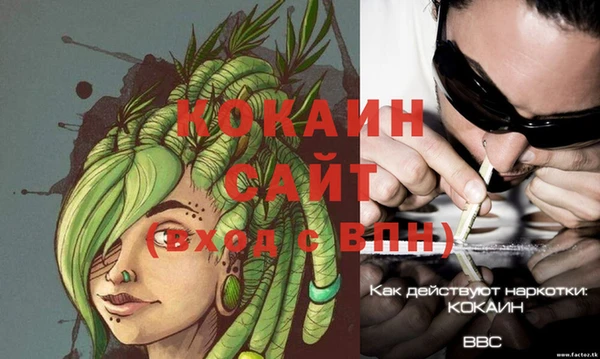 бошки Горняк