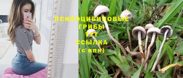 ECSTASY Горнозаводск