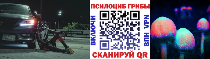 Галлюциногенные грибы прущие грибы  Купить  Вилюйск 